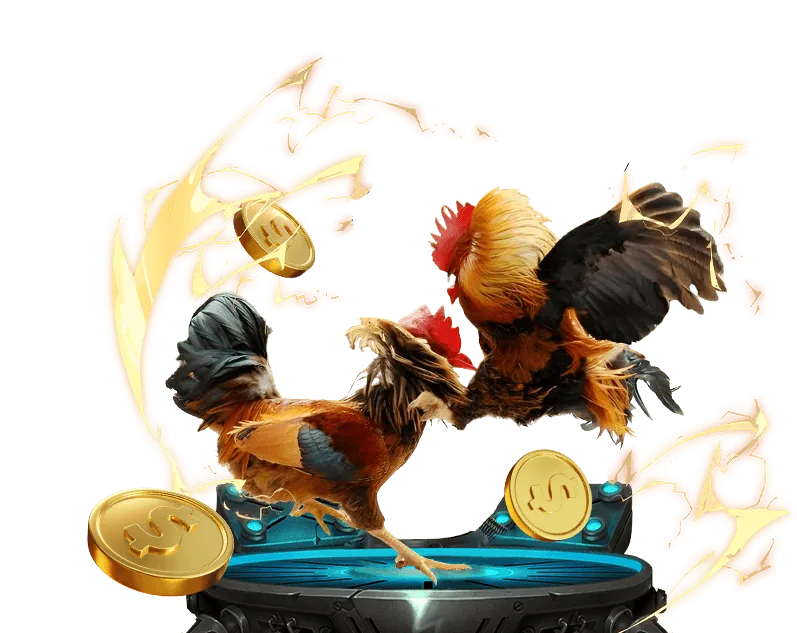 Các tài liệu pháp lý và hợp đồng của 009bet